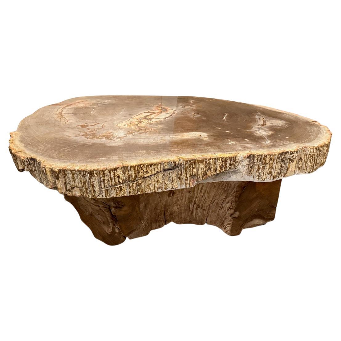 Andrianna Shamaris Rare High Quality Petrified Wood Slab Coffee Table