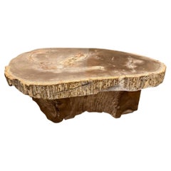 Andrianna Shamaris Rare High Quality Petrified Wood Slab Coffee Table