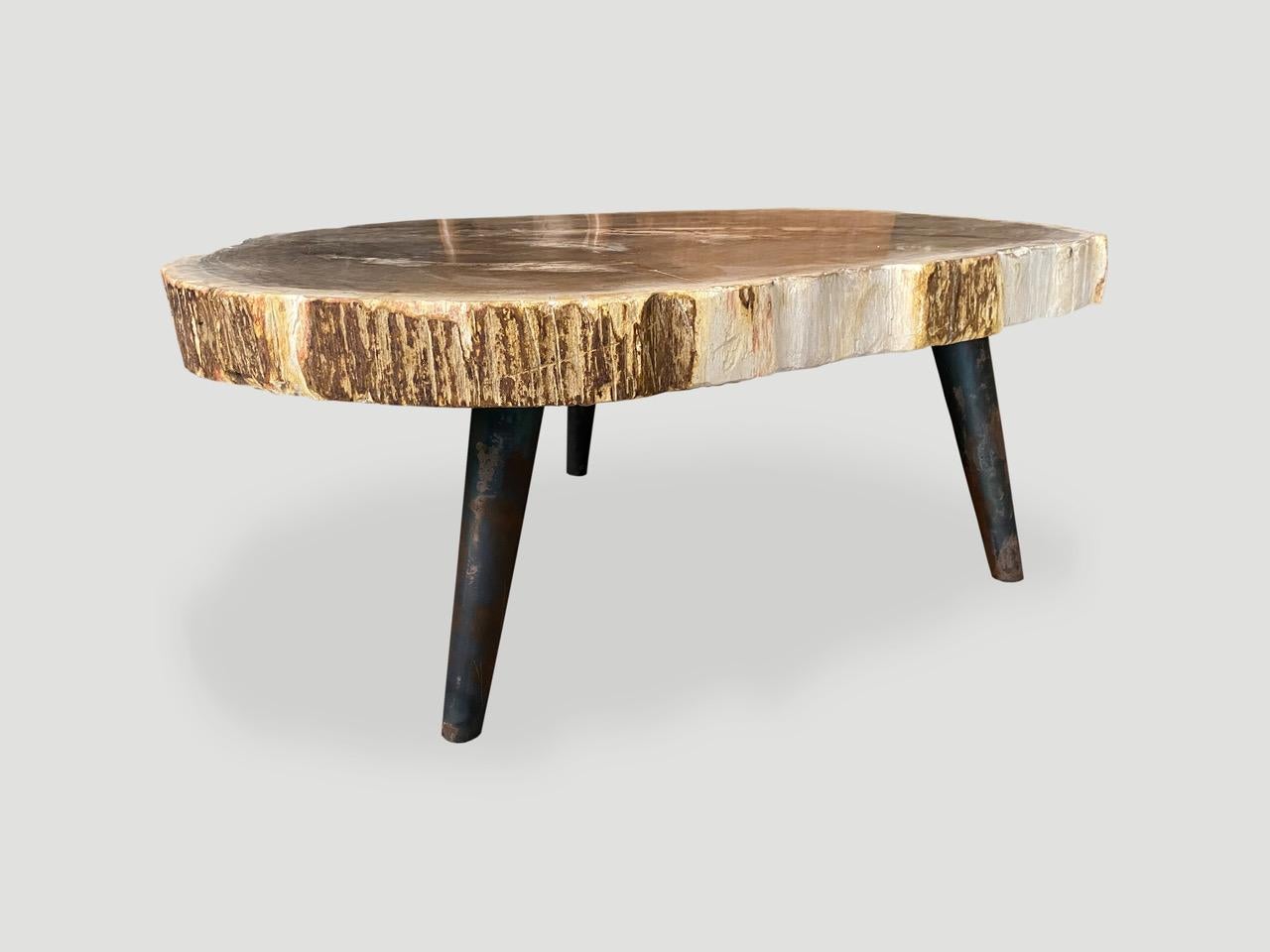 Metal Andrianna Shamaris Rare High Quality Petrified Wood Slab Coffee Table