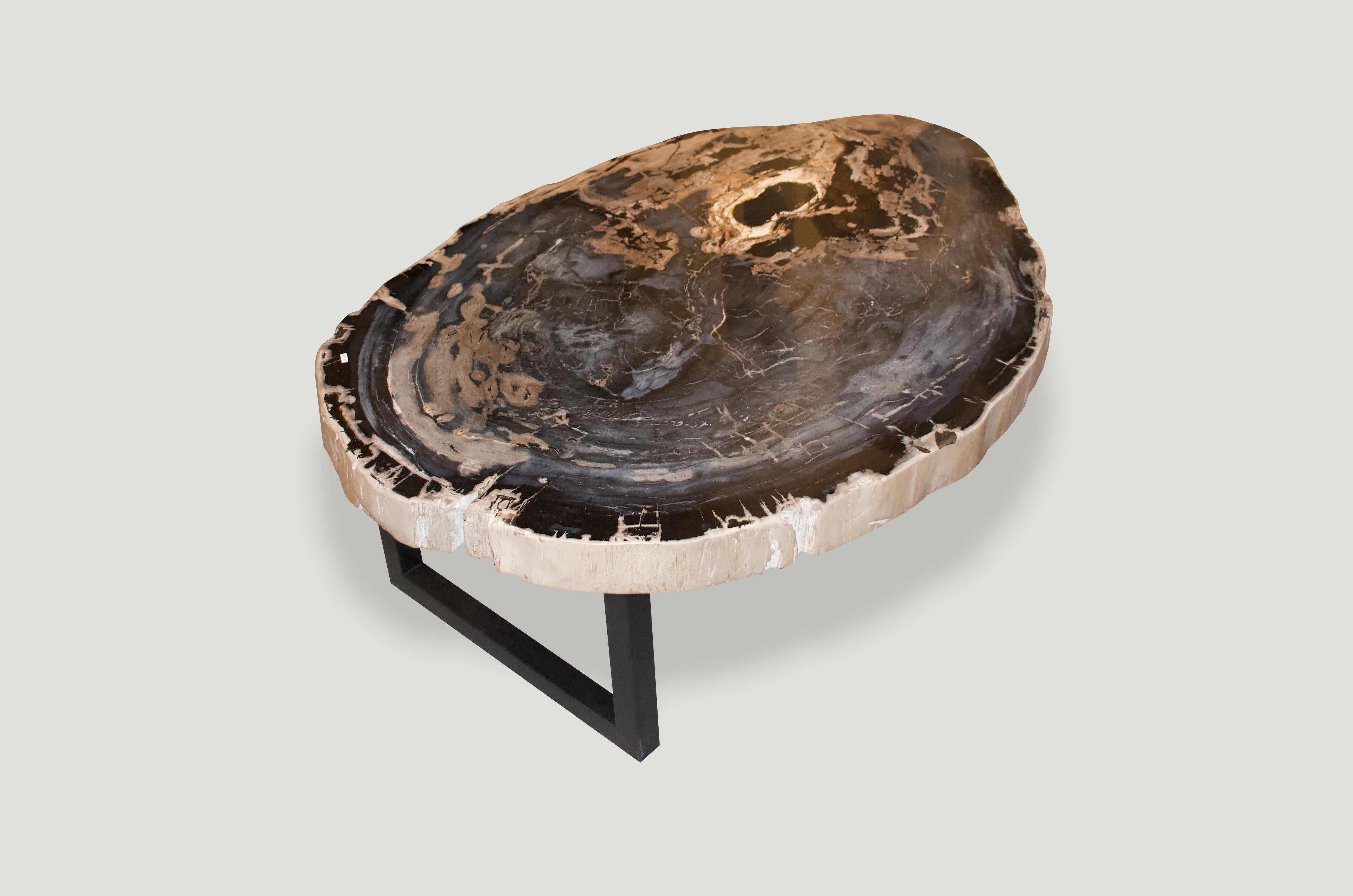 Andrianna Shamaris Rare High Quality Petrified Wood Slab Coffee Table 1