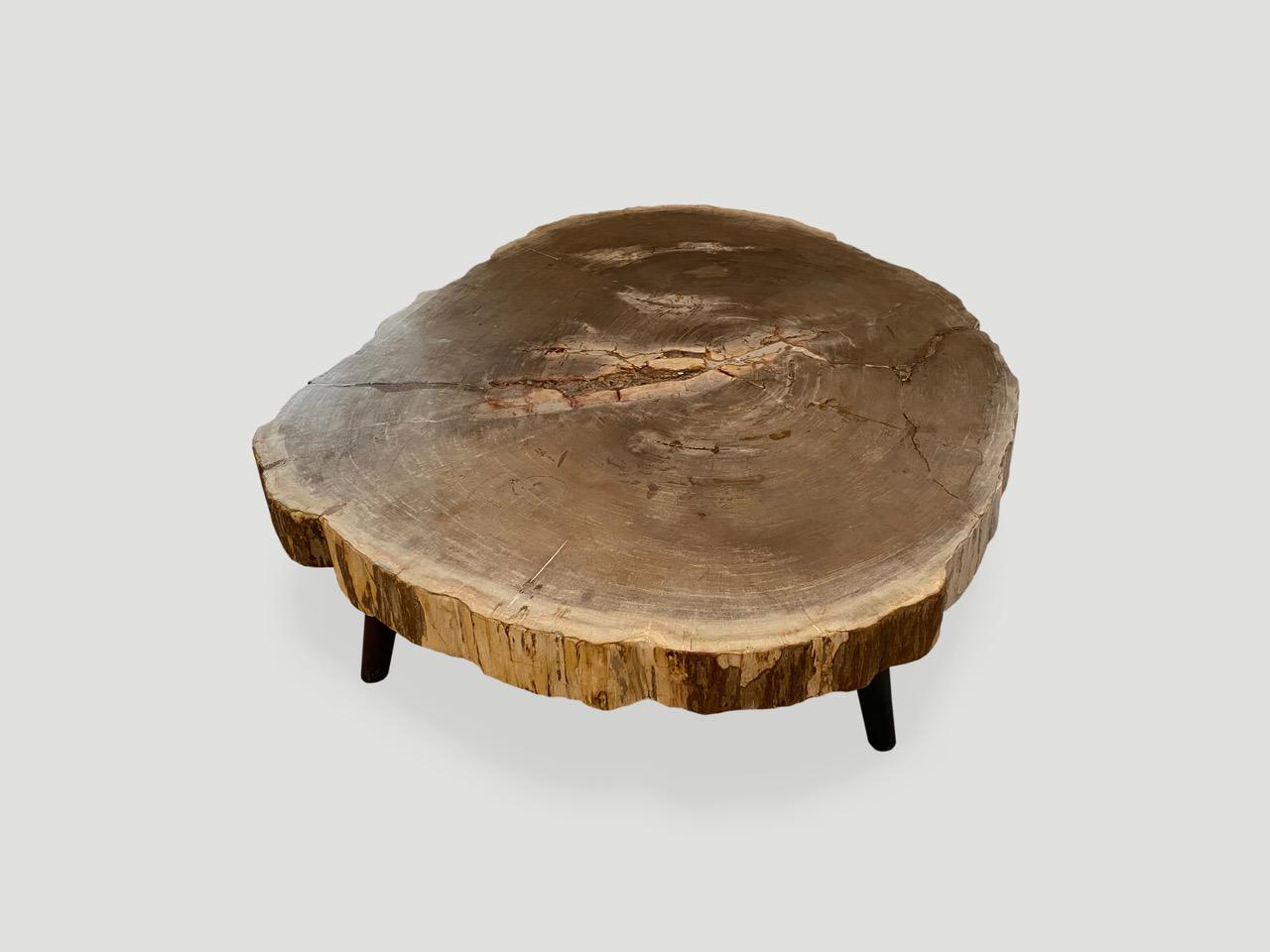 Andrianna Shamaris Rare High Quality Petrified Wood Slab Coffee Table 1