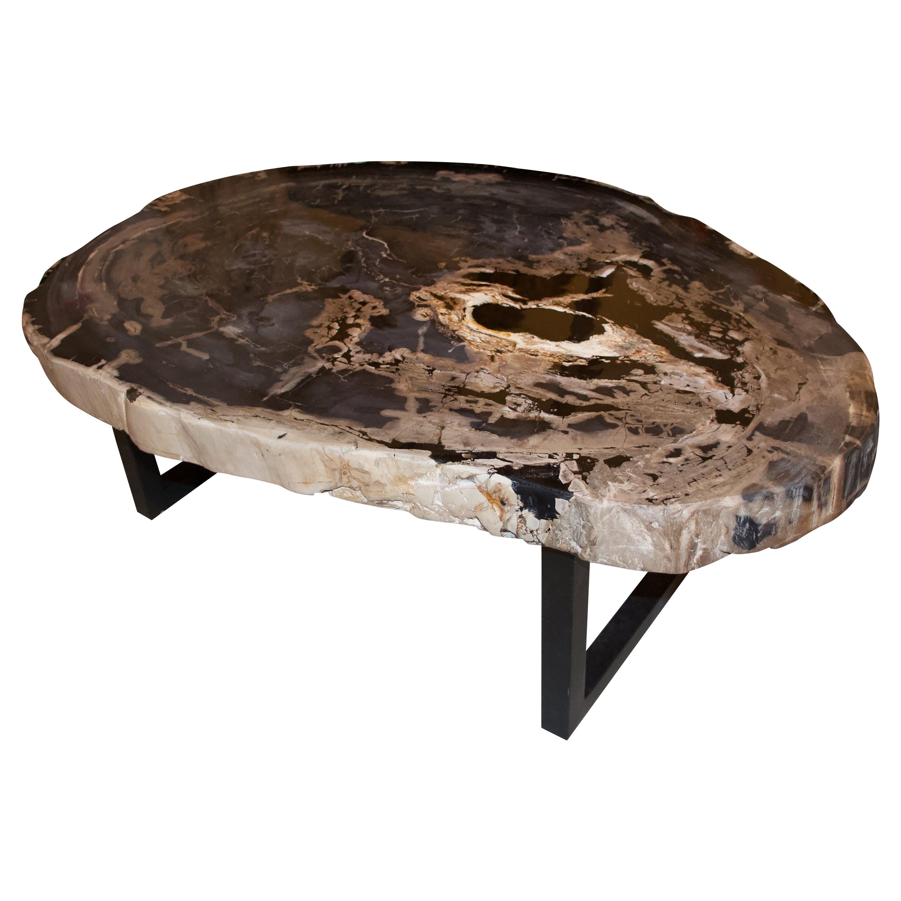 Andrianna Shamaris Rare High Quality Petrified Wood Slab Coffee Table