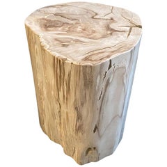 Andrianna Shamaris Rare Neutral Toned High Quality Petrified Wood Side Table