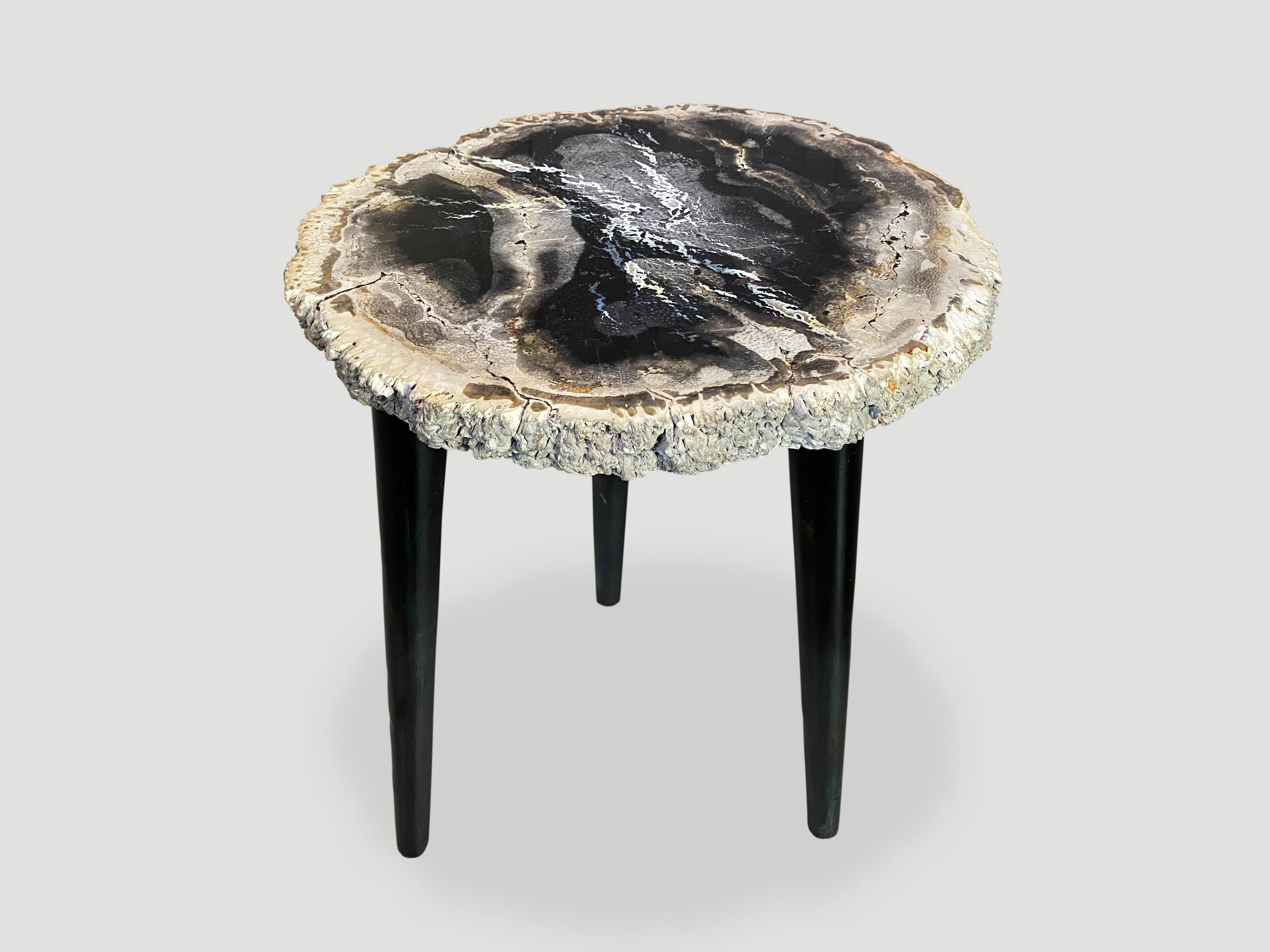 Beautiful contrasting colors on this stunning palm petrified wood slab top side table. Rare grey, blue and white palm top is resting on a midcentury style metal base.

It’s fascinating how Mother Nature produces these stunning 40 million year old