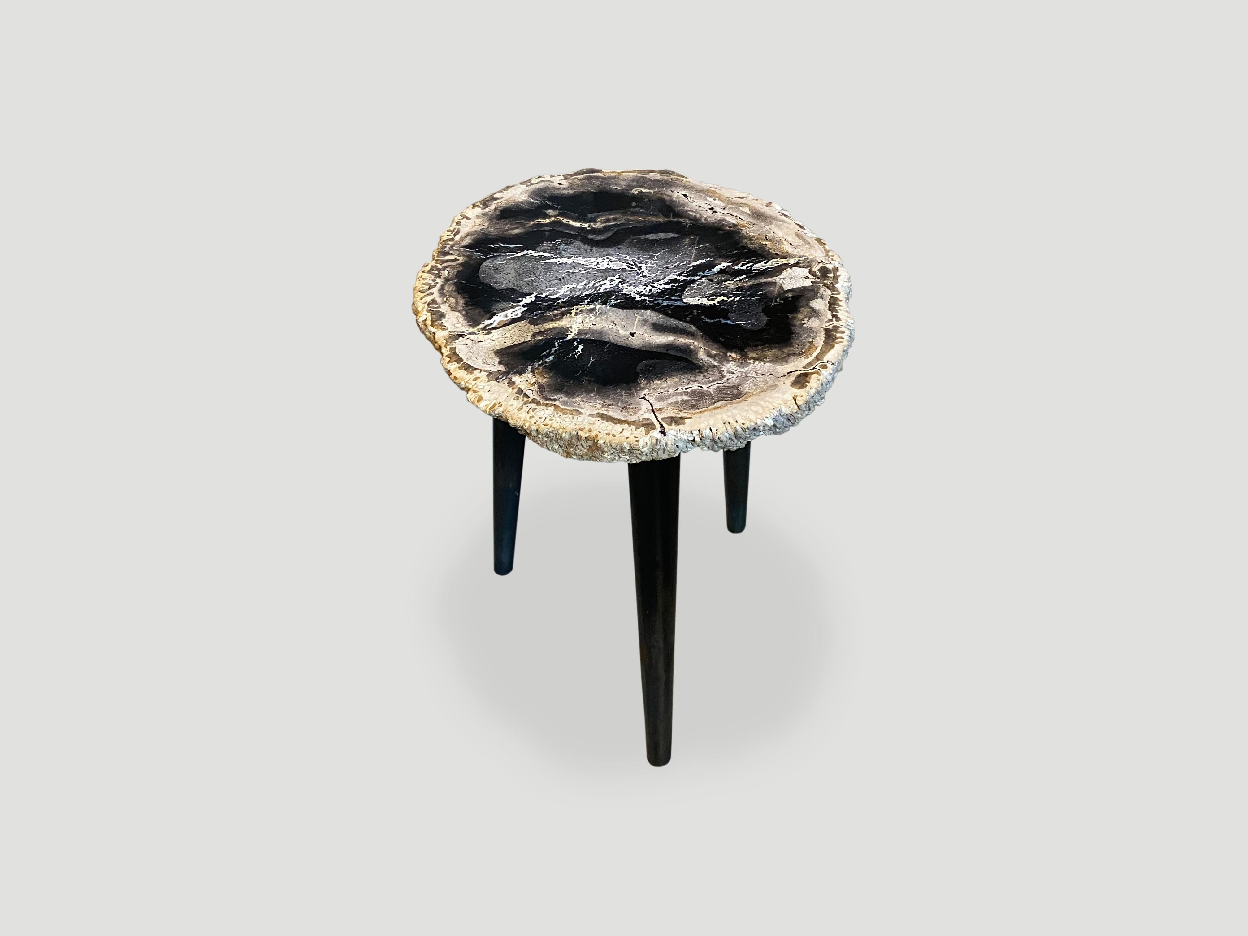 Organic Modern Andrianna Shamaris Rare Palm Petrified Wood Side Table