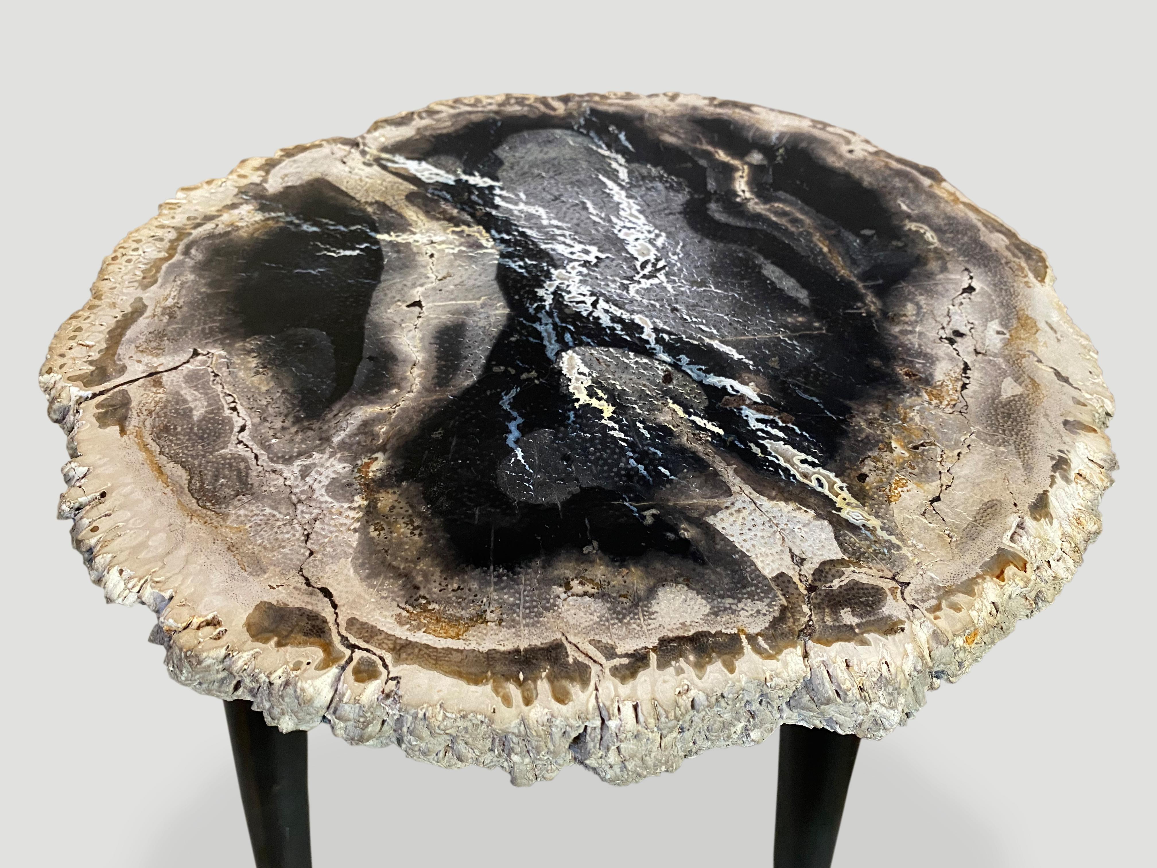 Andrianna Shamaris Rare Palm Petrified Wood Side Table In Excellent Condition In New York, NY