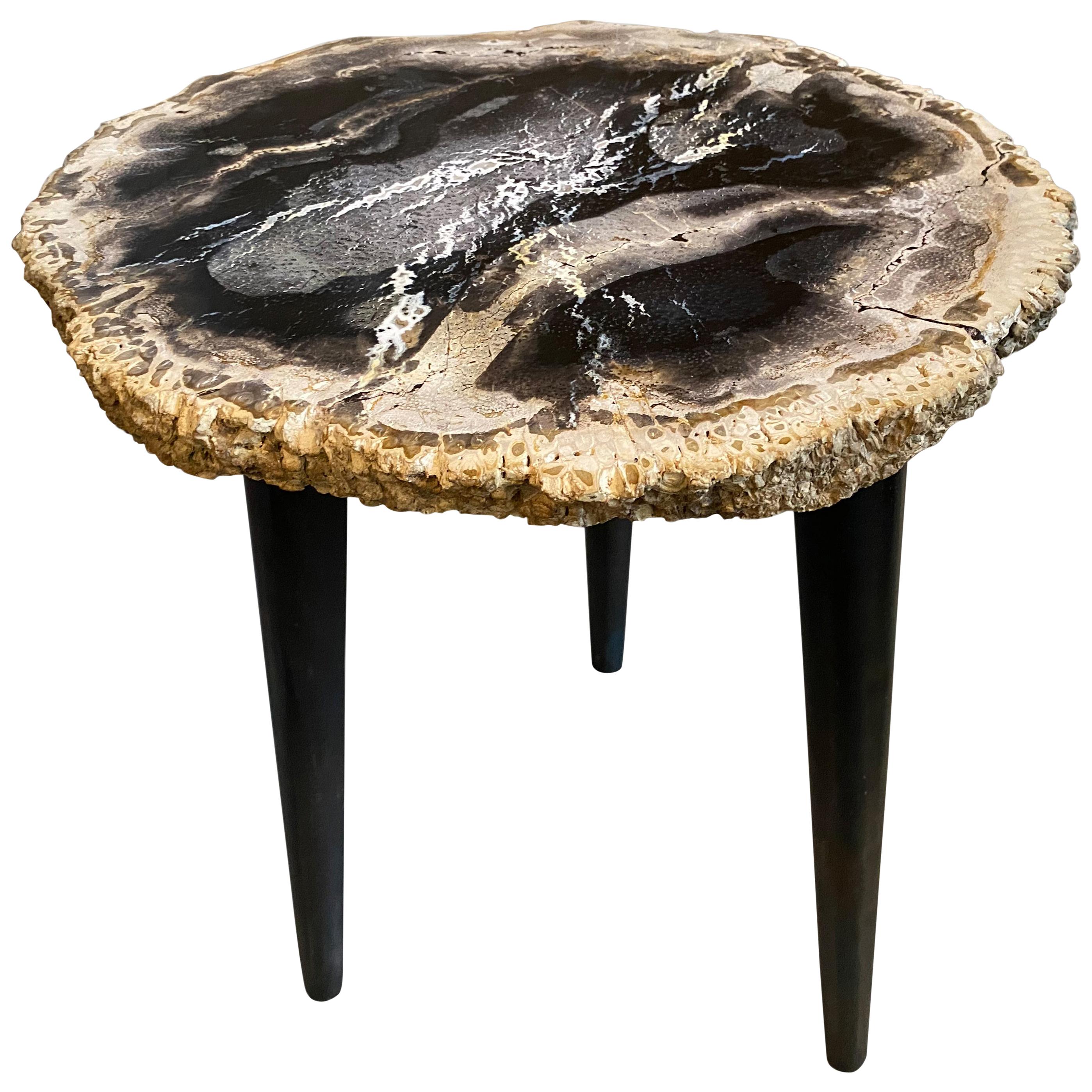 Andrianna Shamaris Rare Palm Petrified Wood Side Table