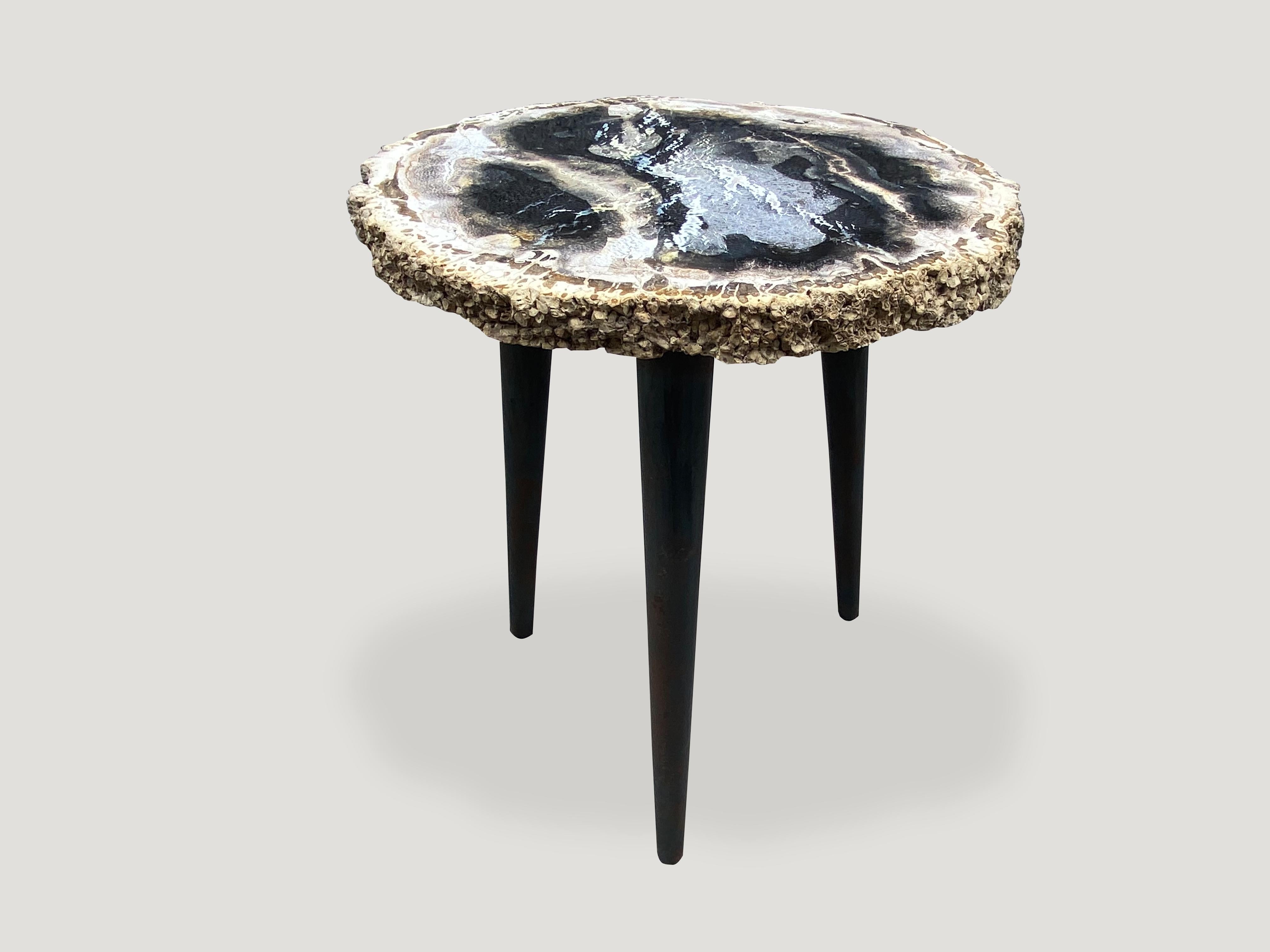 Beautiful contrasting colors on this stunning palm petrified wood slab top side table. Rare grey, blue and white palm top is resting on a mid century style metal base. 

It’s fascinating how Mother Nature produces these stunning 40 million year