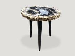 Andrianna Shamaris Rare Palm Petrified Wood Side Table on Metal Base