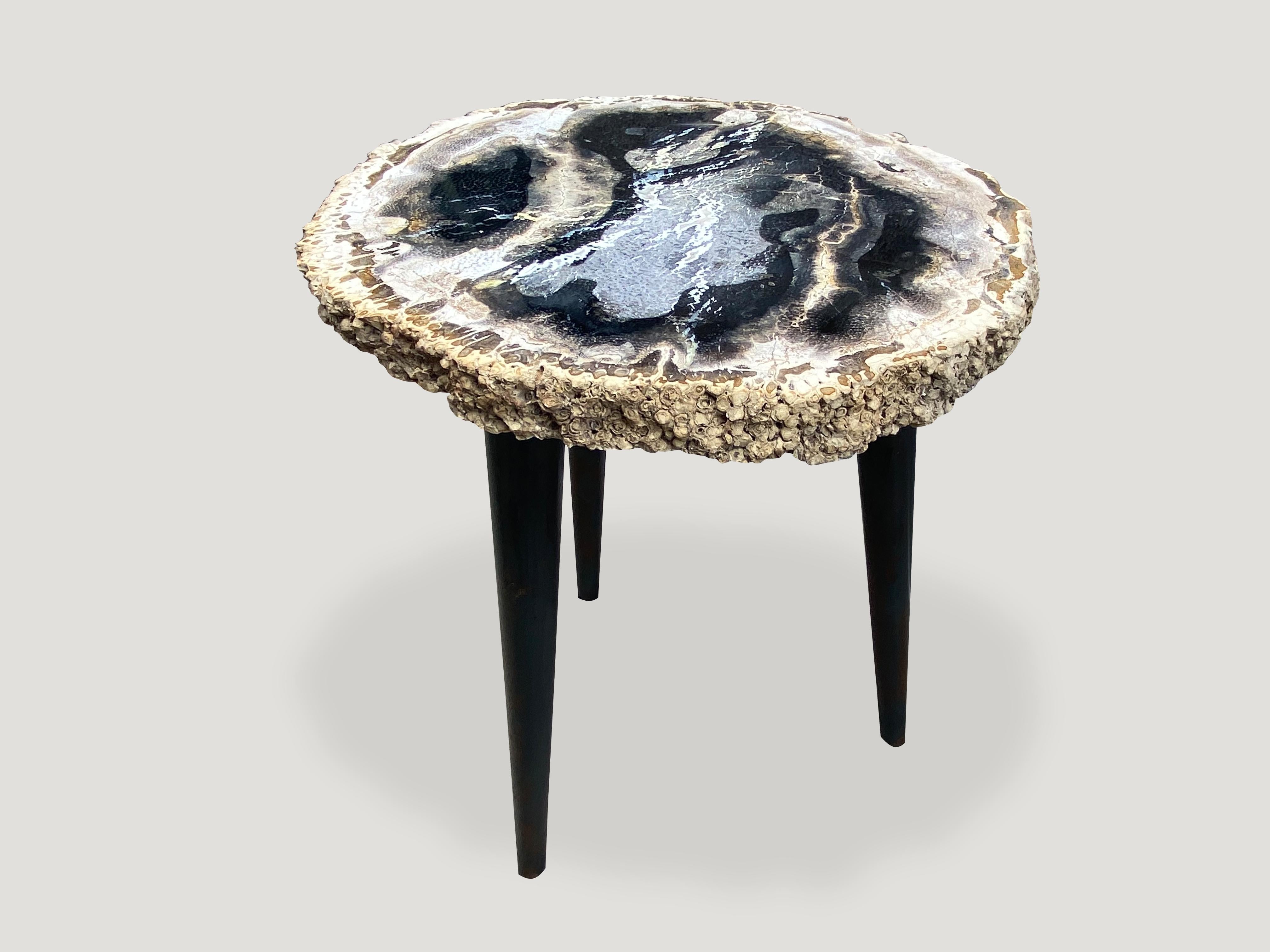 Mid-Century Modern Andrianna Shamaris Rare Palm Petrified Wood Side Table on Metal Base