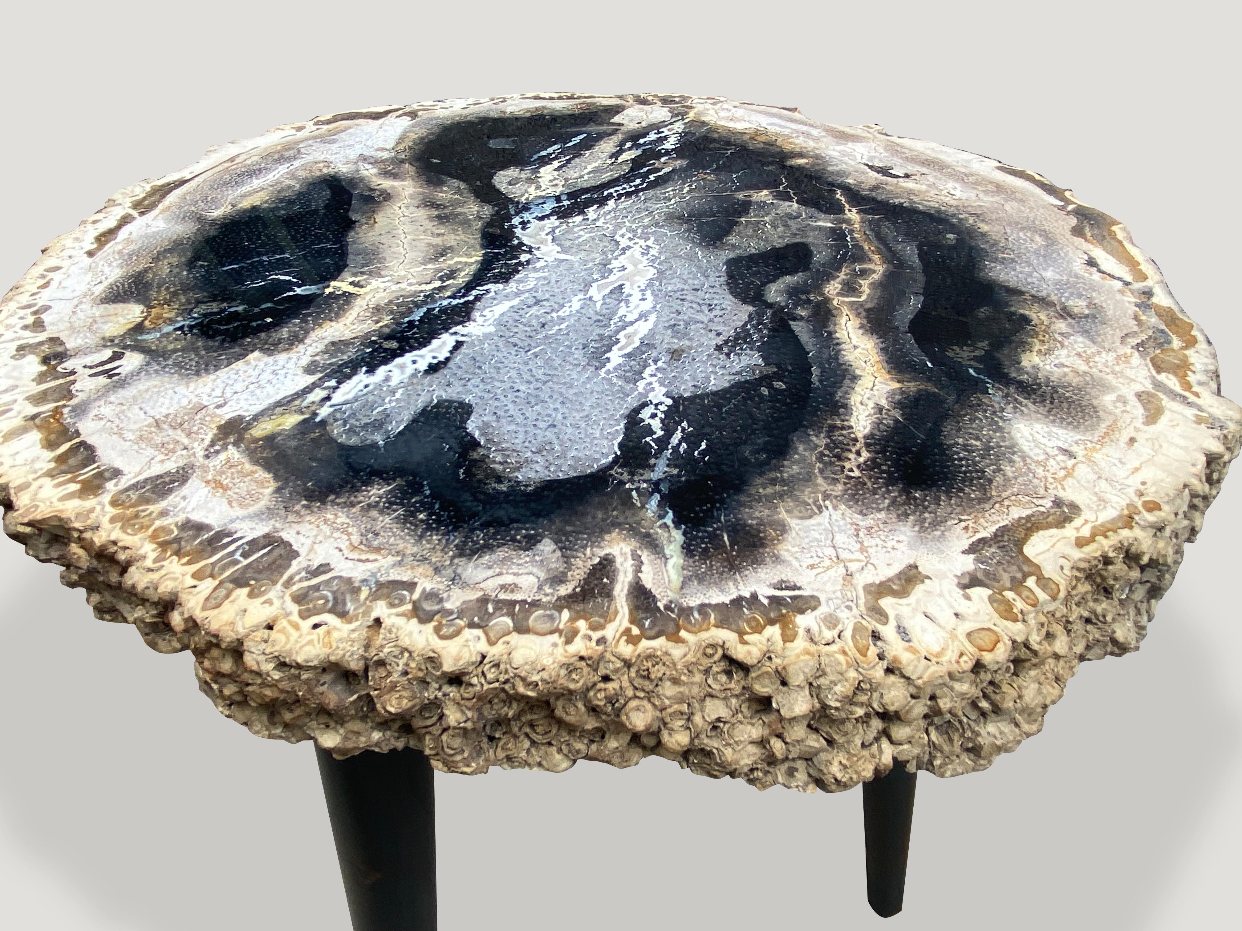 Andrianna Shamaris Rare Palm Petrified Wood Side Table on Metal Base In Excellent Condition In New York, NY