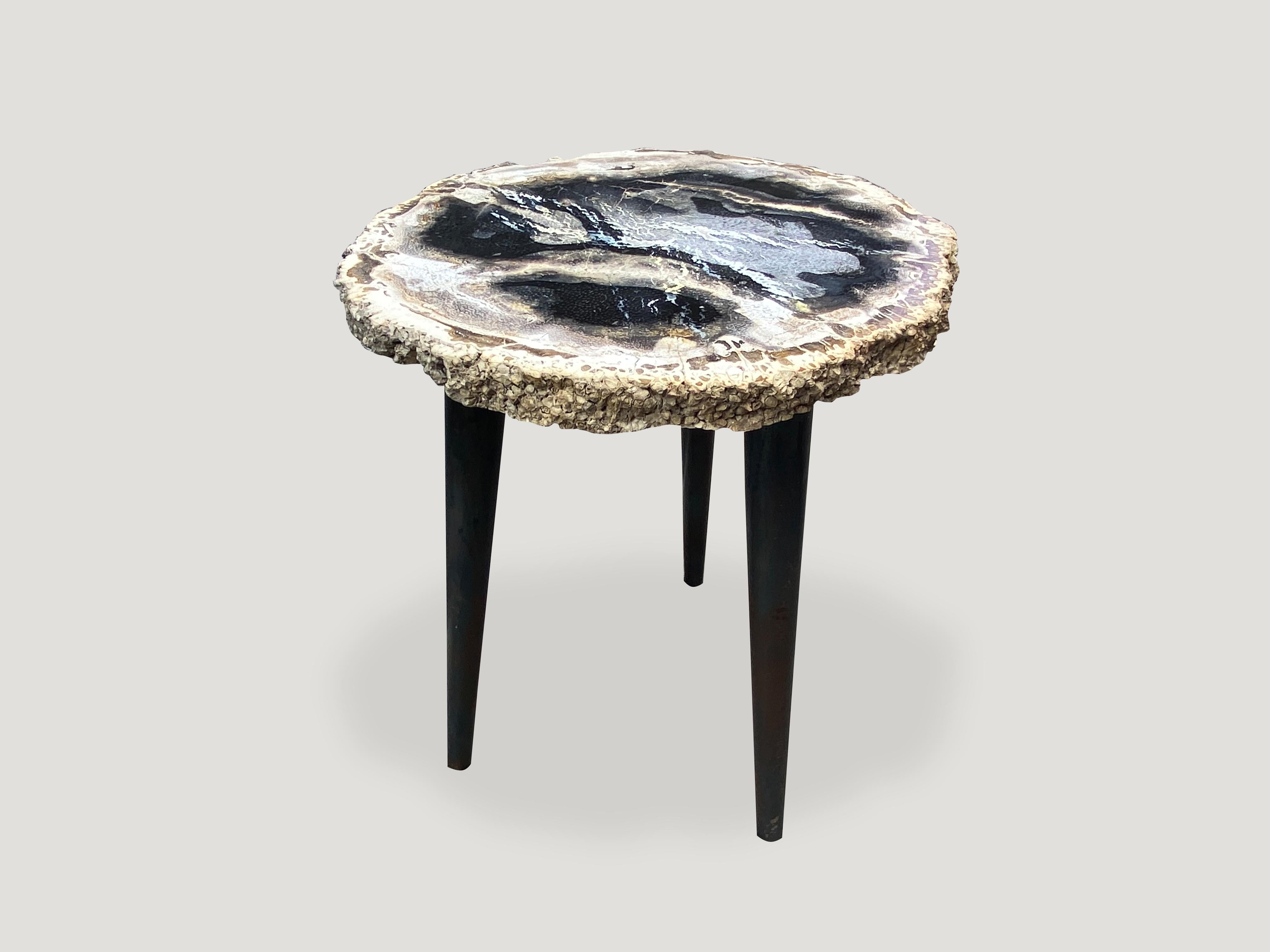 Contemporary Andrianna Shamaris Rare Palm Petrified Wood Side Table on Metal Base