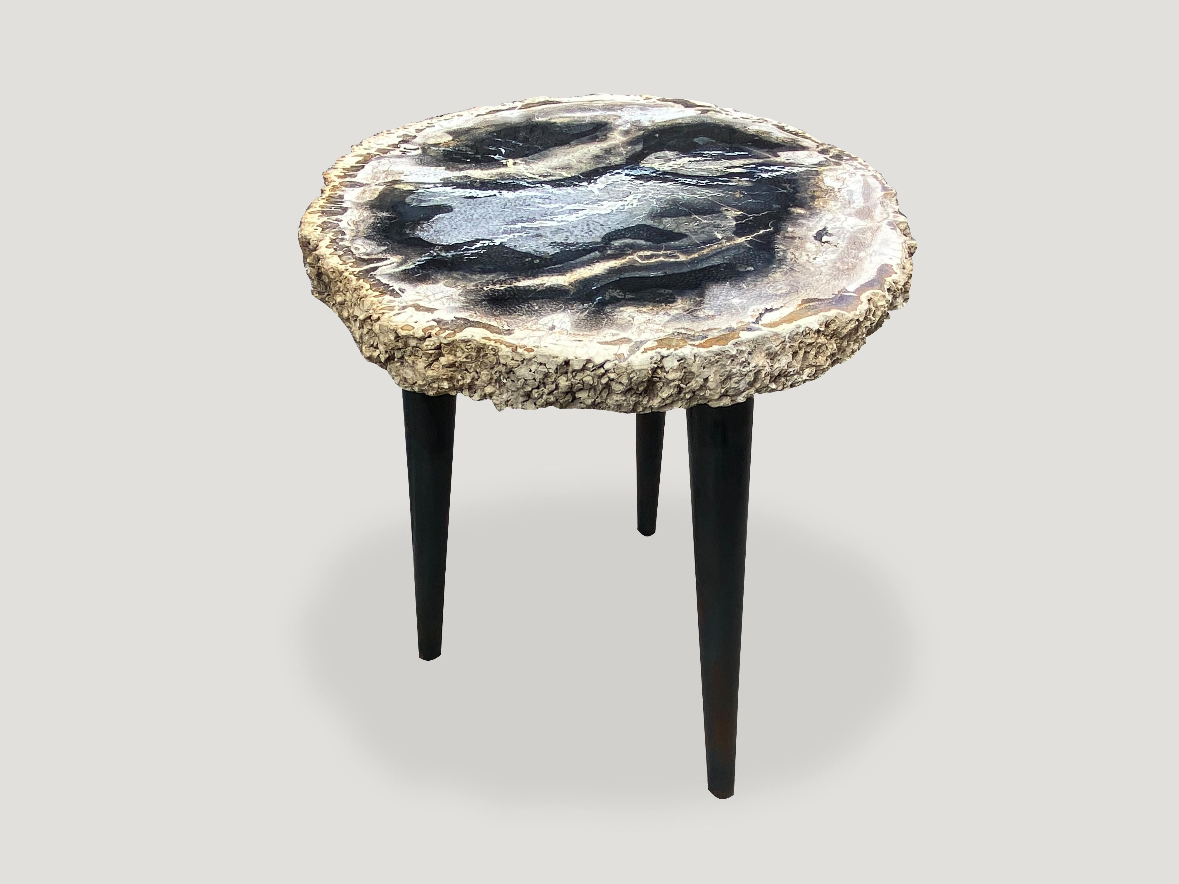 Andrianna Shamaris Rare Palm Petrified Wood Side Table on Metal Base 1
