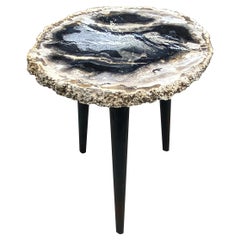Andrianna Shamaris Rare Palm Petrified Wood Side Table on Metal Base