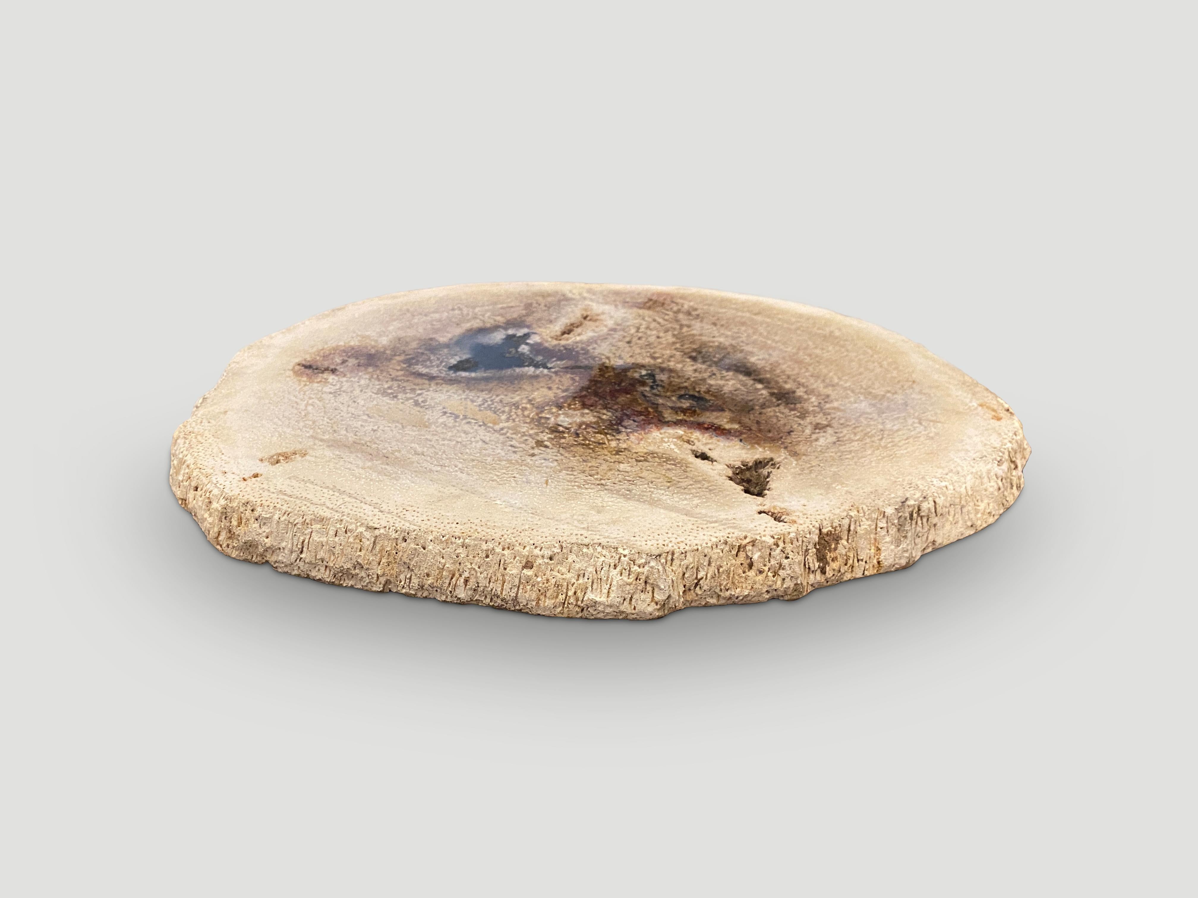 Beautiful contrasting colors on this stunning palm petrified wood slab. Polished on both sides. Perfect as a place holder for jewelry, a large coaster to elevate a regular side table or for a cheese platter to name a few options. We have a
