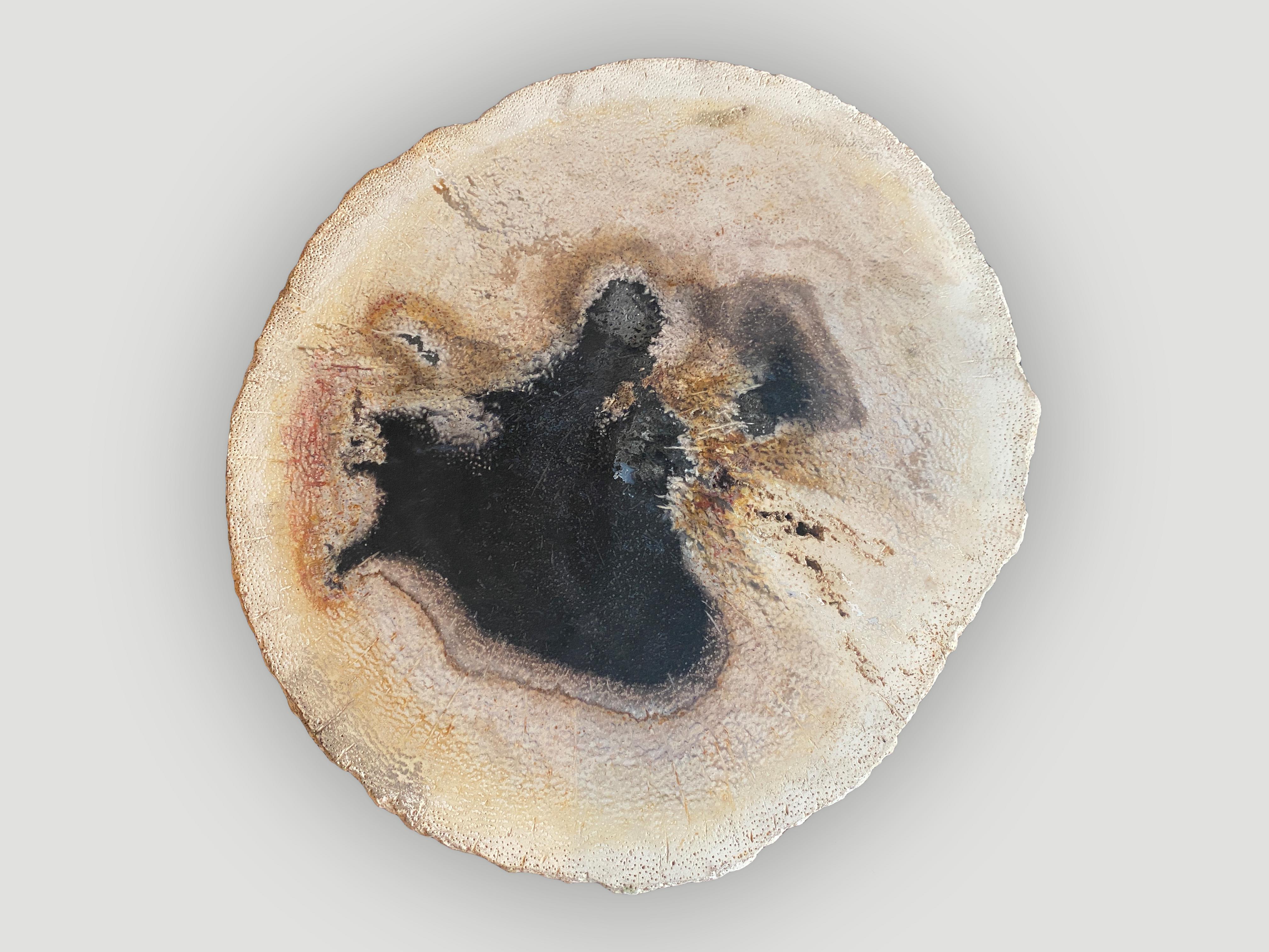 Organic Modern Andrianna Shamaris Rare Palm Petrified Wood Slab