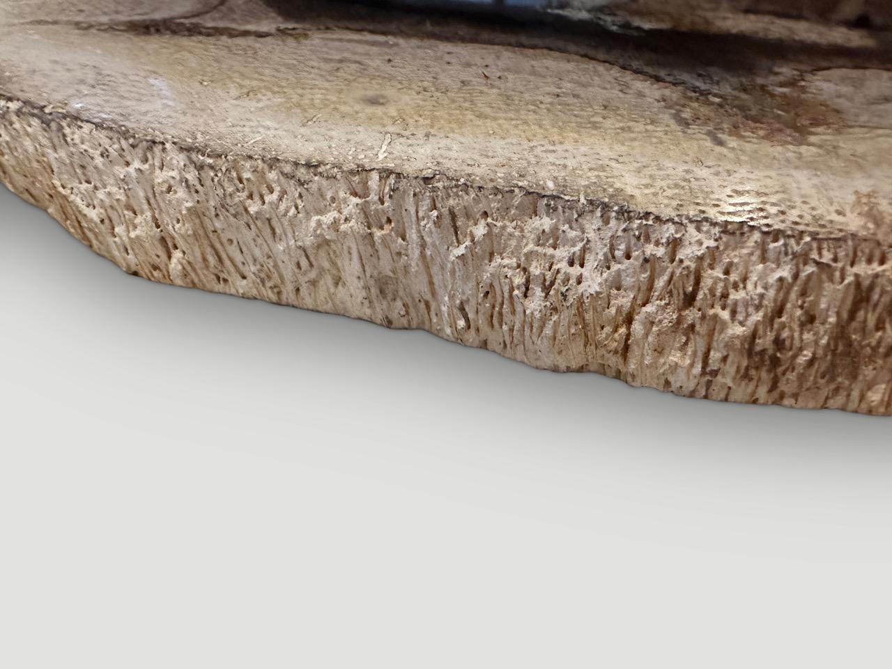Andrianna Shamaris Seltene Palme Versteinerte Holzplatte (Organische Moderne) im Angebot
