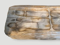Andrianna Shamaris Rare Petrified Wood Log Bench