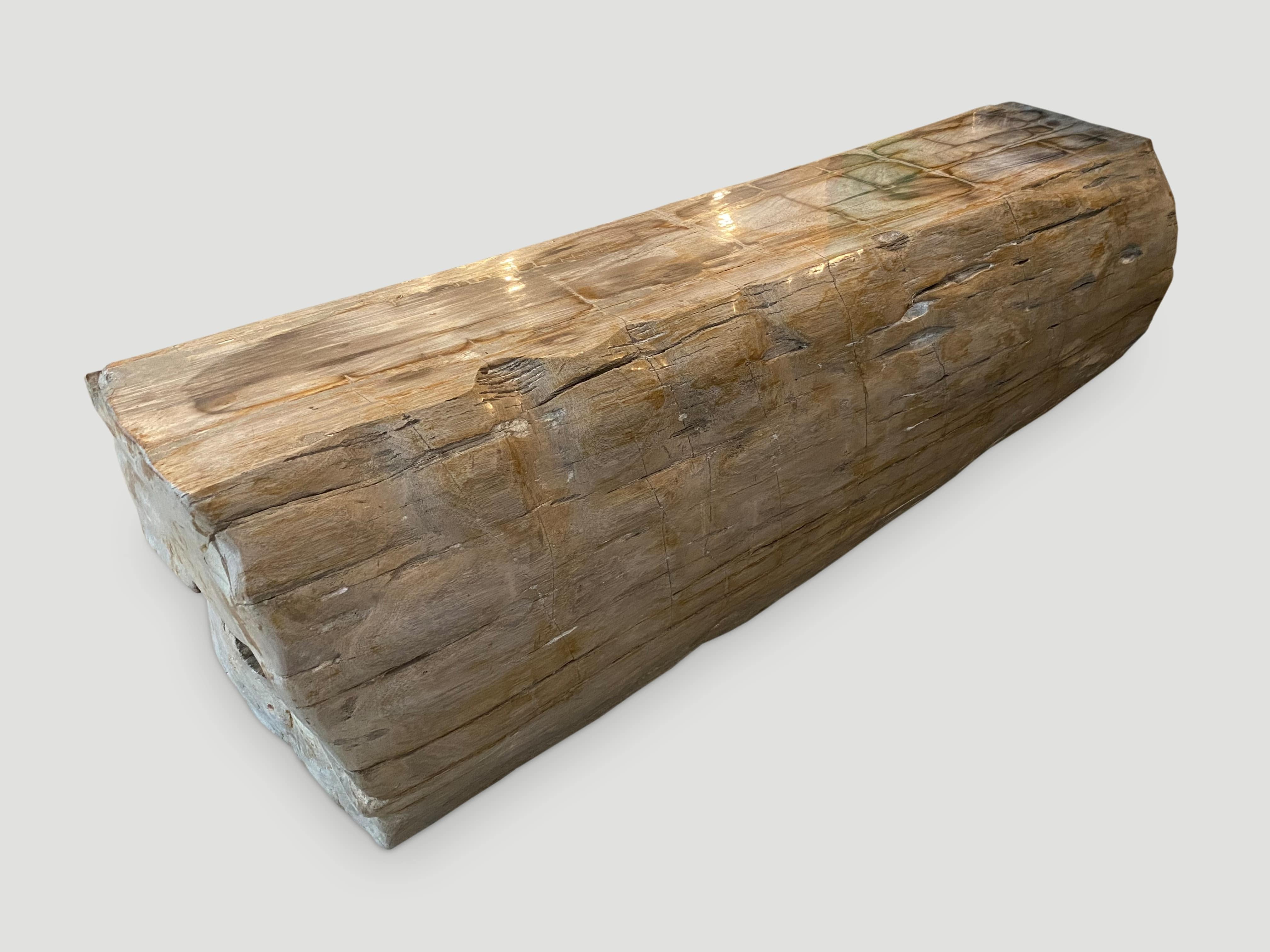 Impressive, high quality petrified wood log bench. It’s fascinating how Mother Nature produces these exquisite 40 million year old petrified teak logs with such beautiful colors and natural patterns throughout. Modern yet with so much history.