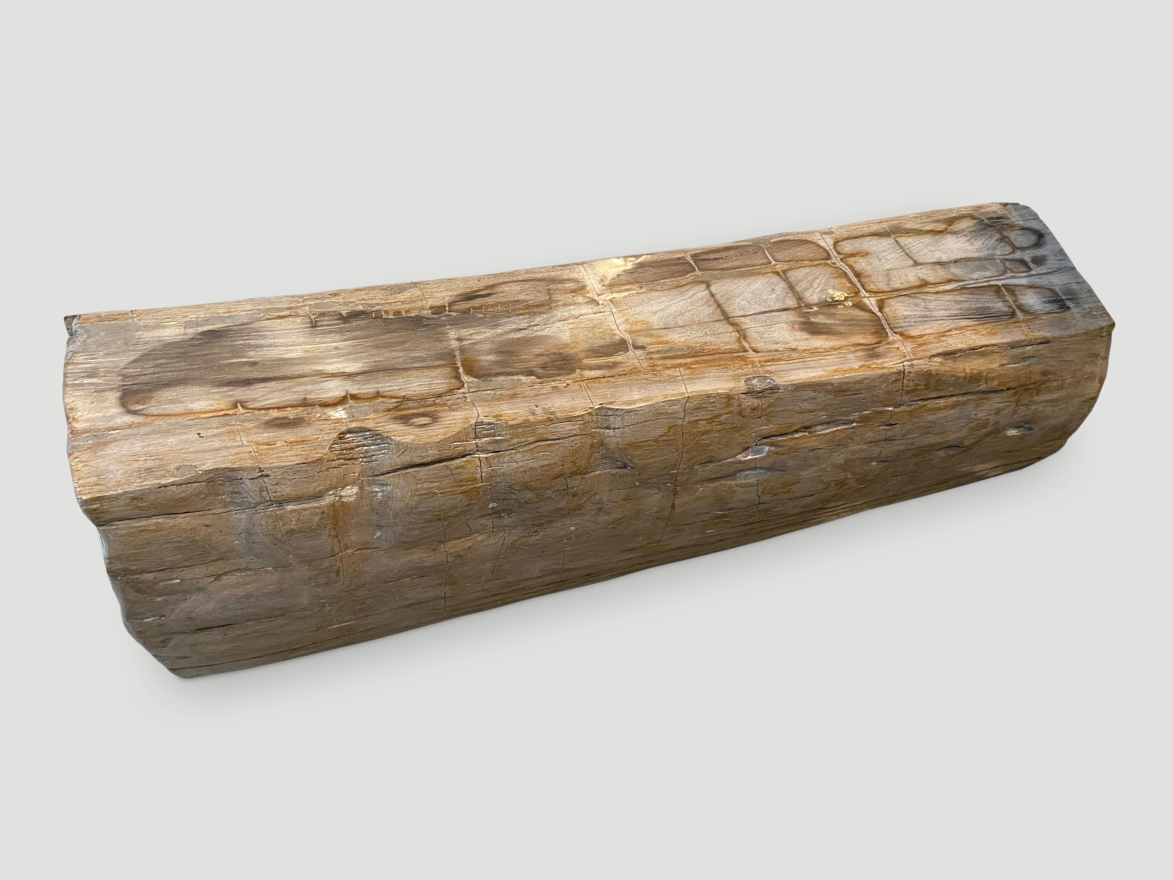 Andrianna Shamaris Raro banco de troncos de madera petrificada Moderno orgánico en venta