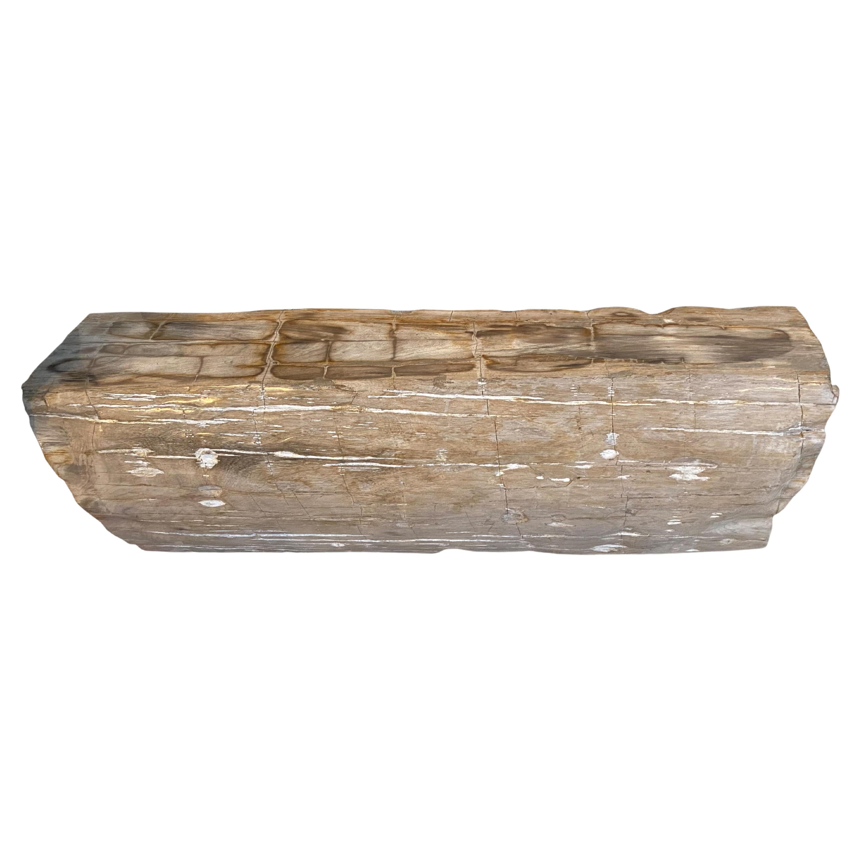 Andrianna Shamaris Rare Petrified Wood Log Bench For Sale