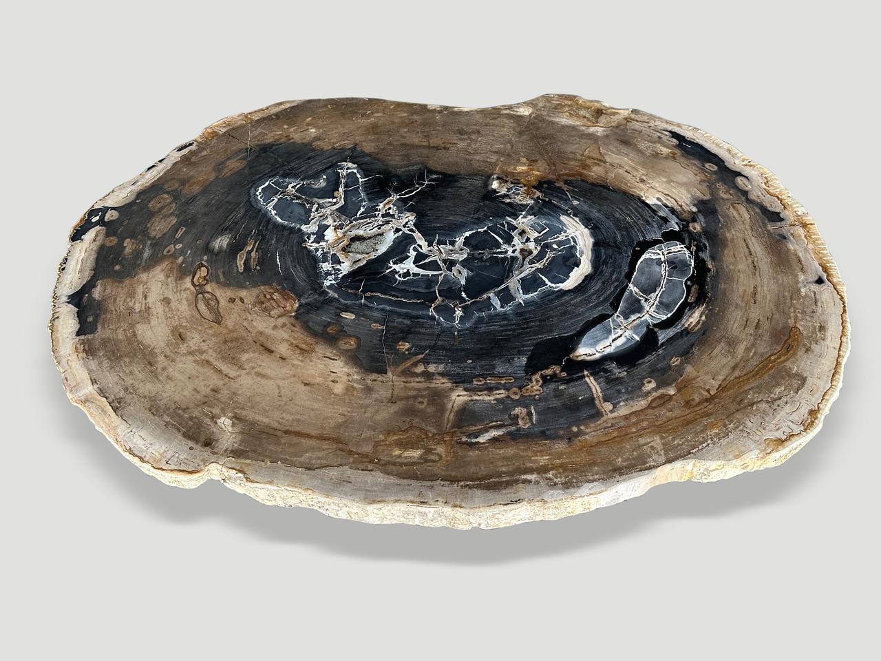 Impressive two and a half inch thick, high quality petrified wood slab coffee table. Resting on an organic natural teak base, this beautiful rare slab has natural crystals embedded in the top. It’s fascinating how Mother Nature produces these