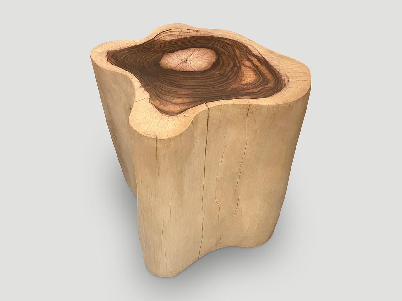 Organic Modern Andrianna Shamaris Rare Sono Wood Oversized Side Table or Pedestal For Sale