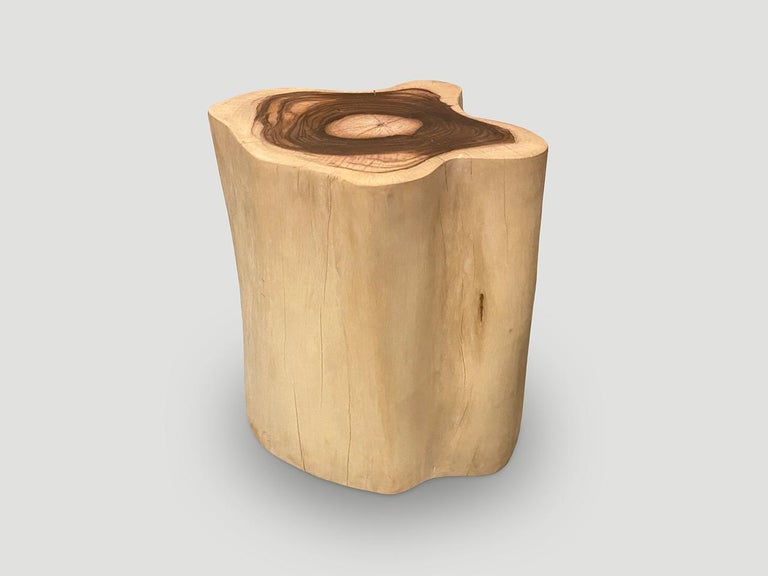 Contemporary Andrianna Shamaris Rare Sono Wood Oversized Side Table or Pedestal For Sale