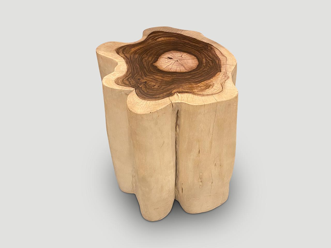 Bois Andrianna Shamaris Rare table d'appoint ou piédestal surdimensionné en bois Sono en vente