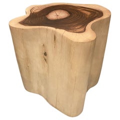 Andrianna Shamaris Rare Sono Wood Tavolino o piedistallo sovradimensionato