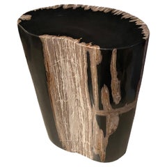 Antique Andrianna Shamaris Rare Super Smooth High Quality Petrified Wood Side Table