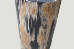Andrianna Shamaris Rare Super Smooth Petrified Wood Side Table or Pedestal