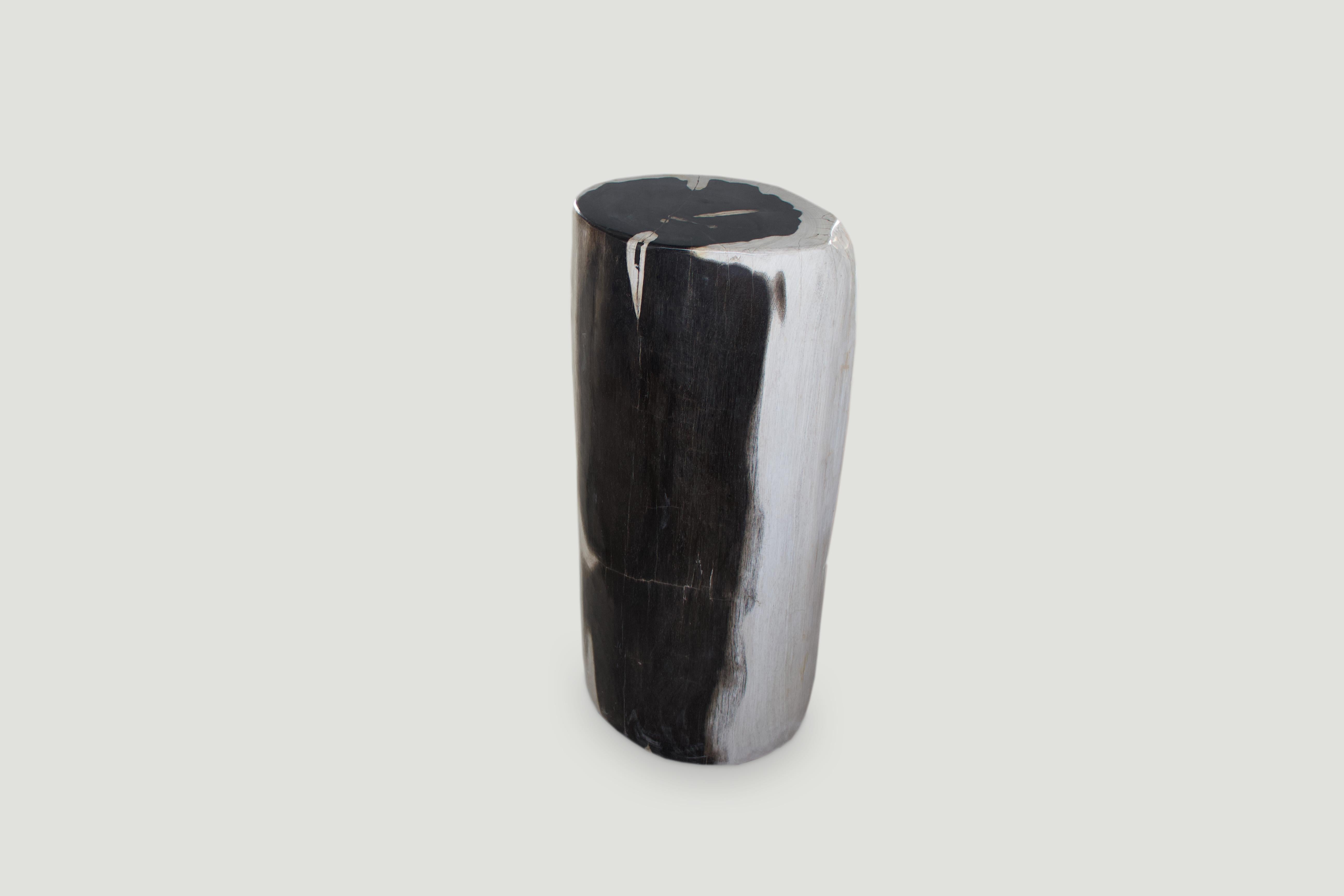 Organic Modern Andrianna Shamaris Rare Super Smooth Petrified Wood Side Table or Pedestal