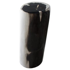 Andrianna Shamaris Rare Super Smooth Petrified Wood Side Table or Pedestal Antique Andrianna Shamaris Rare Super Smooth Petrified Wood Side Table or Pedestal