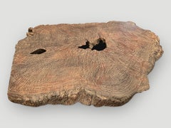 Andrianna Shamaris Rare Teak Wood Slab or Table Top