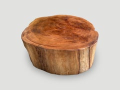 Andrianna Shamaris Reclaimed Mahogany Wood Coffee Table