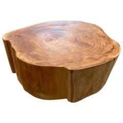 Andrianna Shamaris Reclaimed Mahogany Wood Coffee Table