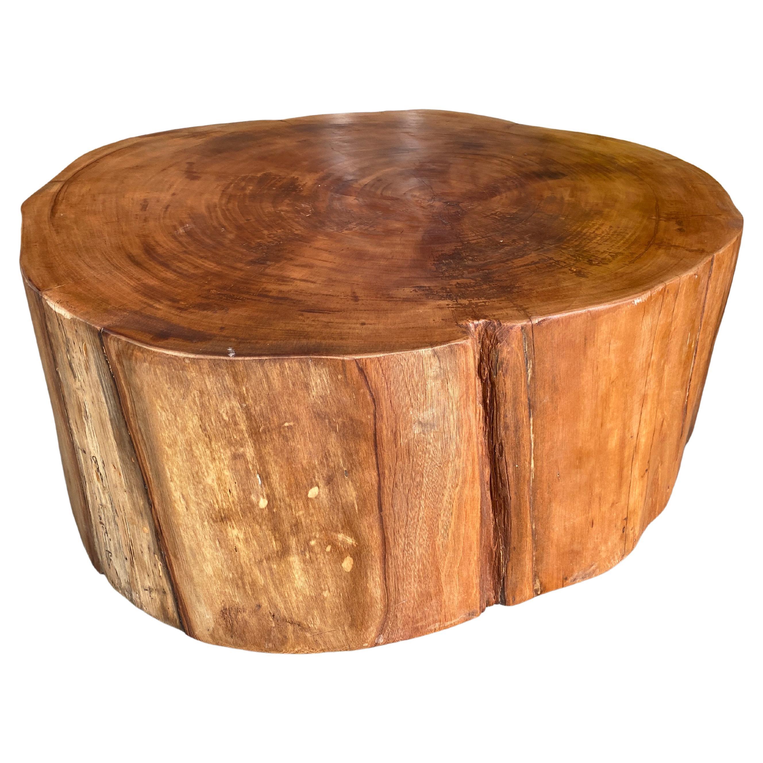 Andrianna Shamaris Reclaimed Mahogany Wood Coffee Table For Sale