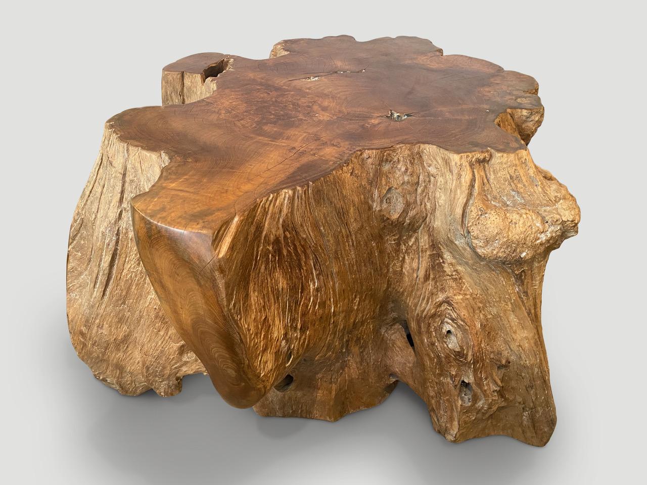 Organic Modern Andrianna Shamaris Reclaimed Teak Root Pedestal, Side Table or Coffee Table