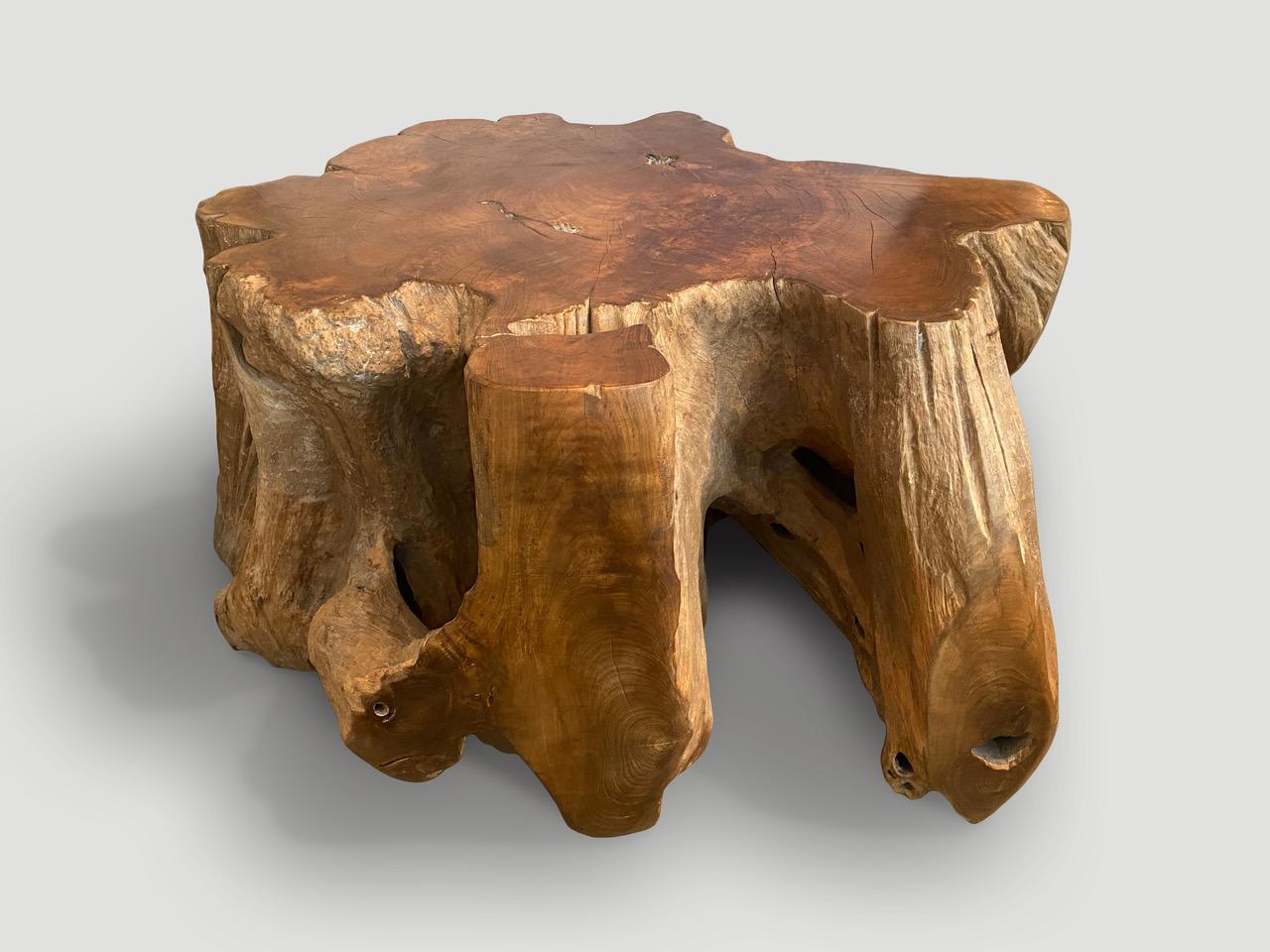Andrianna Shamaris Reclaimed Teak Root Pedestal, Side Table or Coffee Table In Excellent Condition In New York, NY