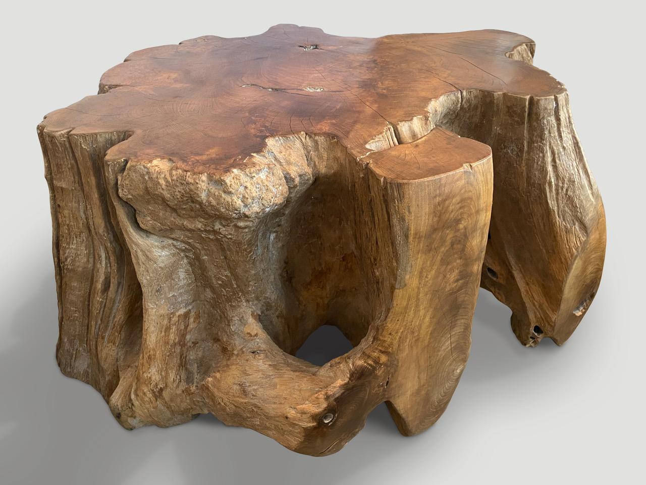 Contemporary Andrianna Shamaris Reclaimed Teak Root Pedestal, Side Table or Coffee Table