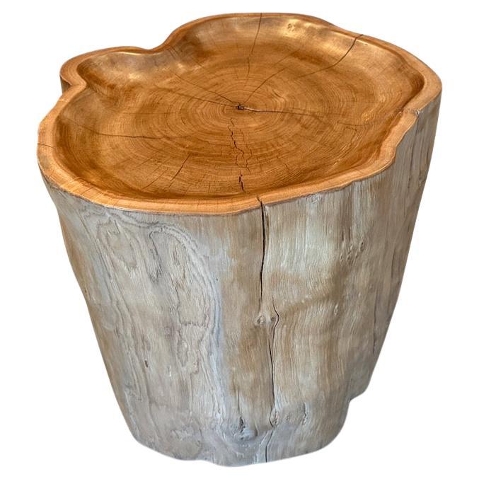 Andrianna Shamaris Reclaimed Teak Wood Side Table, Modern Organic Design