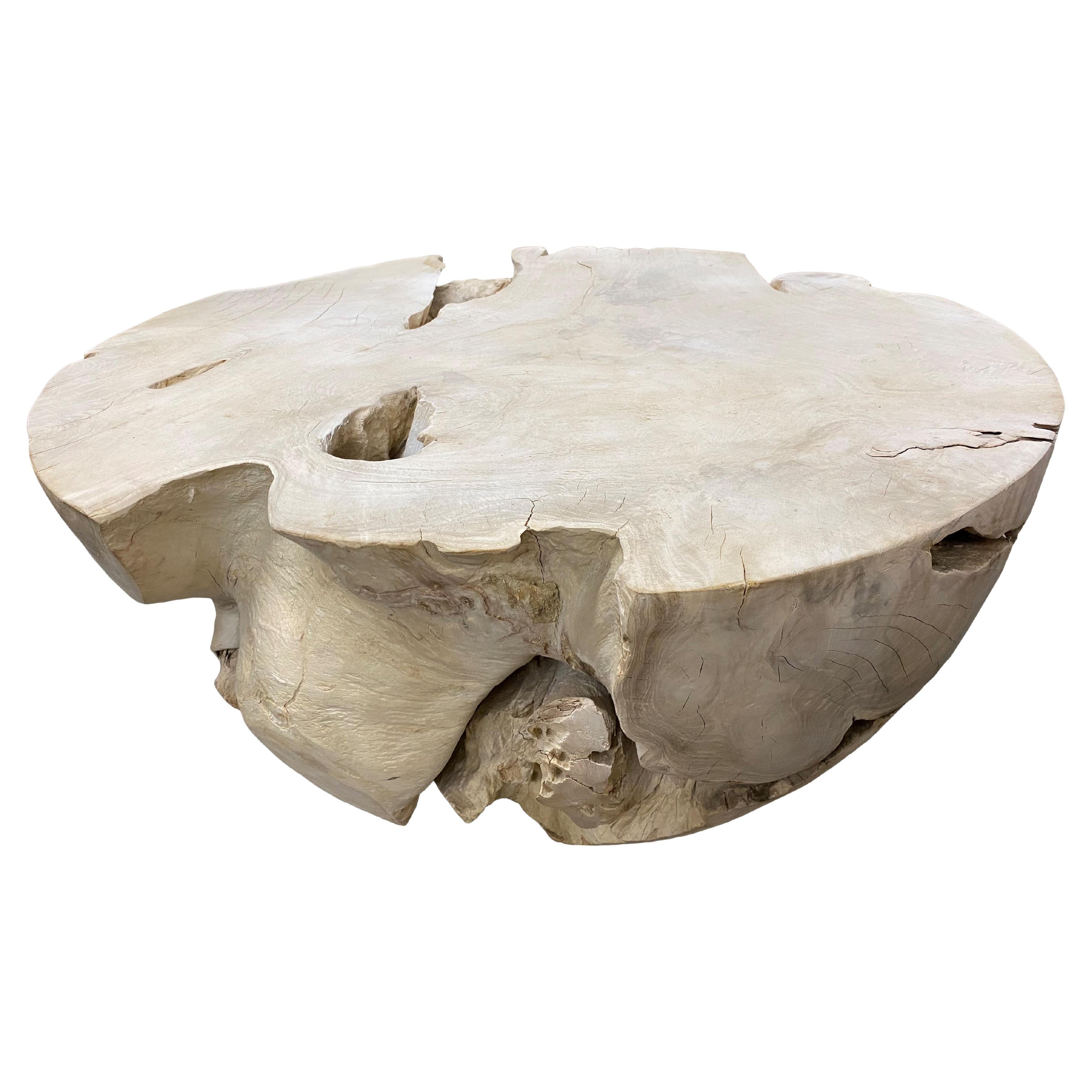Table basse ronde Andrianna Shamaris en bois de teck blanchi