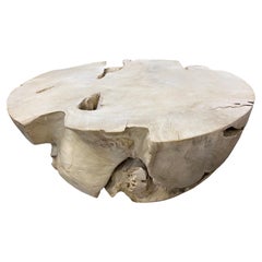 Andrianna Shamaris Round Bleached Teak Wood Coffee Table