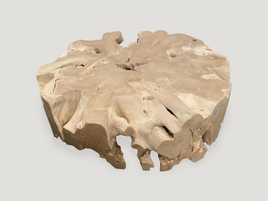 Impressive over sized single root organic round coffee table. The reclaimed teak is bleached and left to bake in the sun and sea salt air for over a year to achieve this unique finish. We have added a light shellack to the top and flat side sections