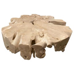 Andrianna Shamaris Round Bleached Teak Wood Organic Coffee Table