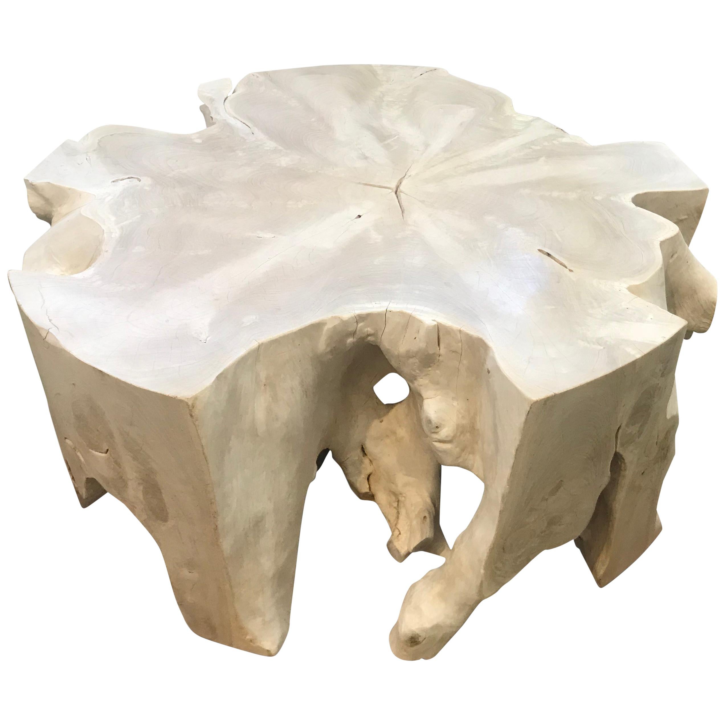 Andrianna Shamaris Round St. Barts Teak Wood Coffee Table