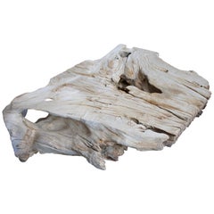 Andrianna Shamaris Sand Blasted Bleached Teak Wood Coffee Table