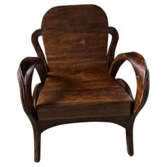 Andrianna Shamaris Sculptural Antique Teak Wood Arm Chair