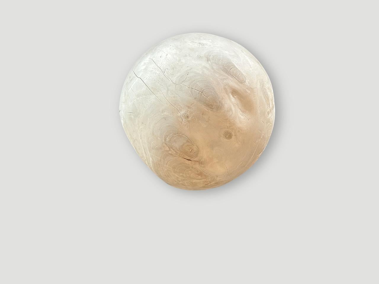 Bois Andrianna Shamaris Sculptural Bleached Sphere on a Stand en vente